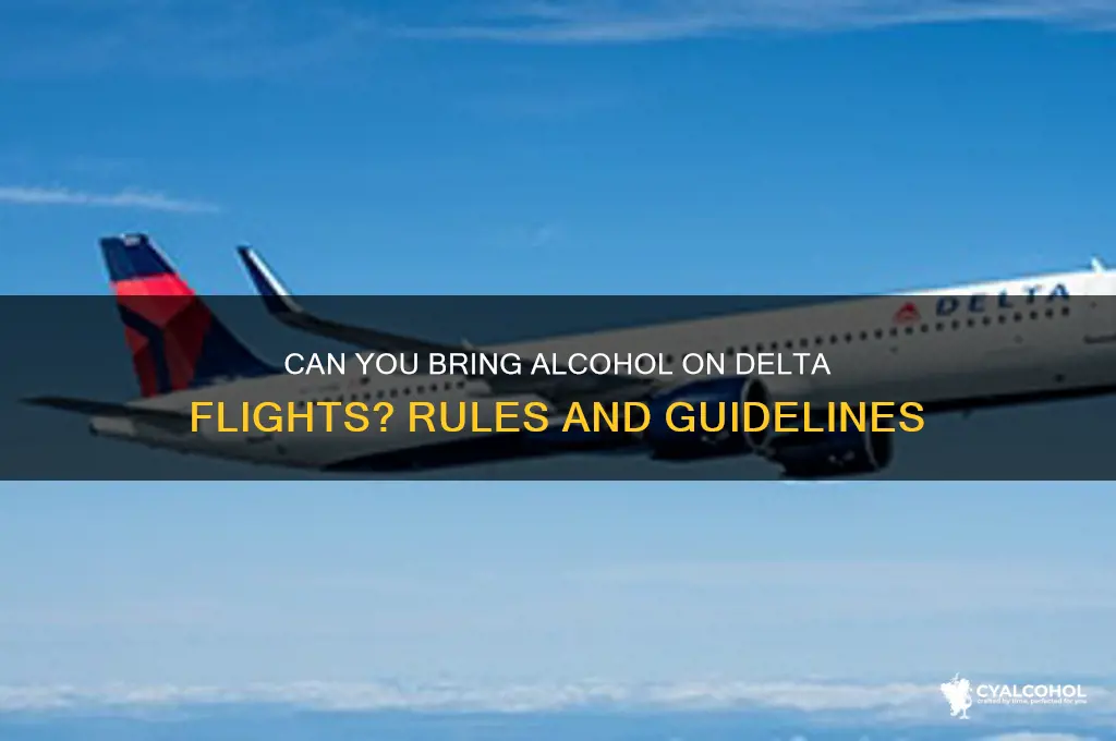 is alcohol allowed on delta flights