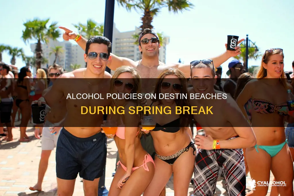 is alcohol allowed on destin beaches during spring break