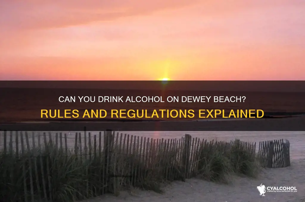 is alcohol allowed on dewey beach
