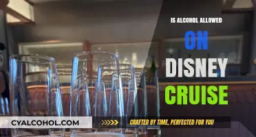 Disney Cruise Alcohol Policy: What You Need to Know