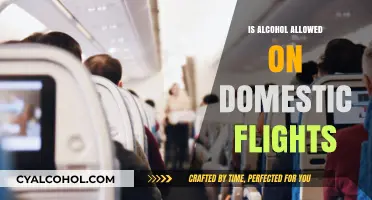 Can You Bring Alcohol on Domestic Flights? Rules and Tips