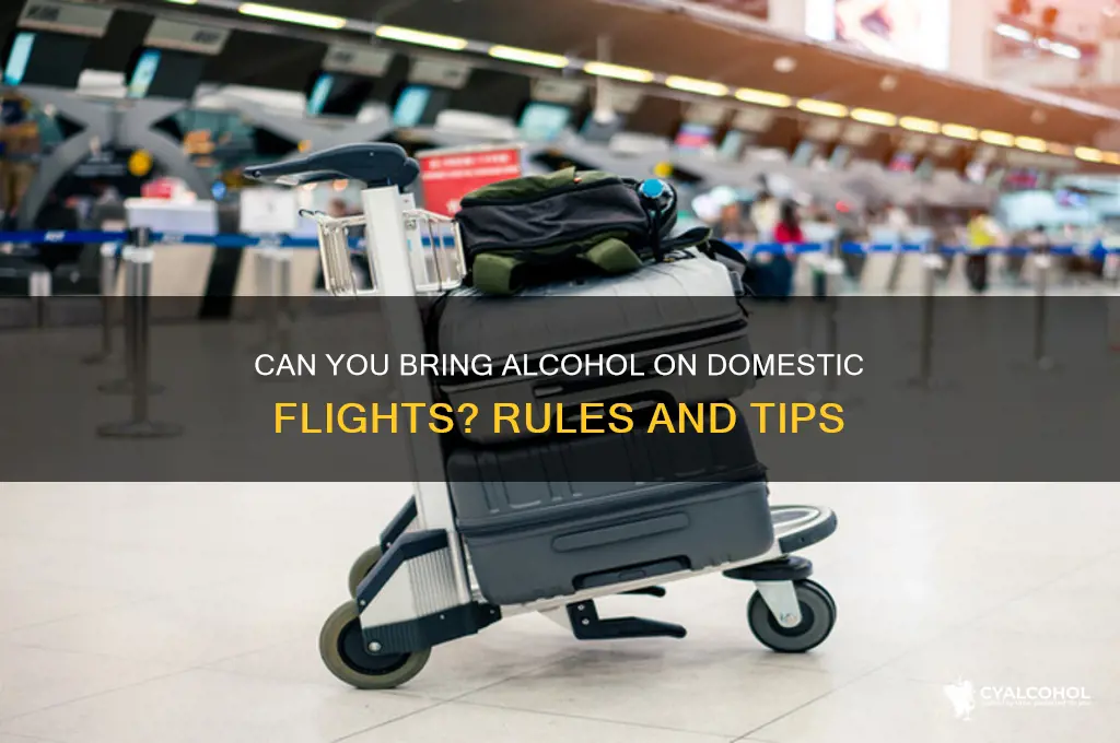 is alcohol allowed on domestic flights