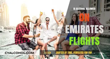 Can You Bring Alcohol on Emirates Flights? Rules Explained