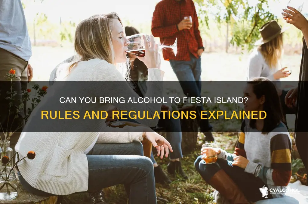 is alcohol allowed on fiesta island