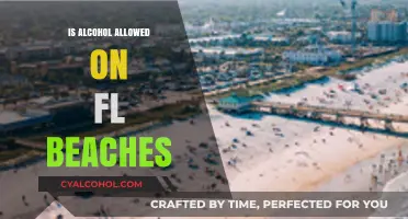 Can You Drink Alcohol on Florida Beaches? Rules and Regulations Explained
