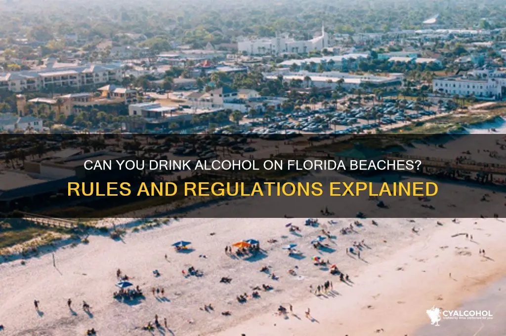 is alcohol allowed on fl beaches