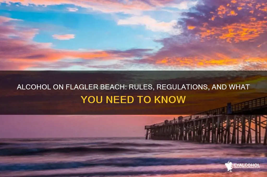 is alcohol allowed on flagler beach
