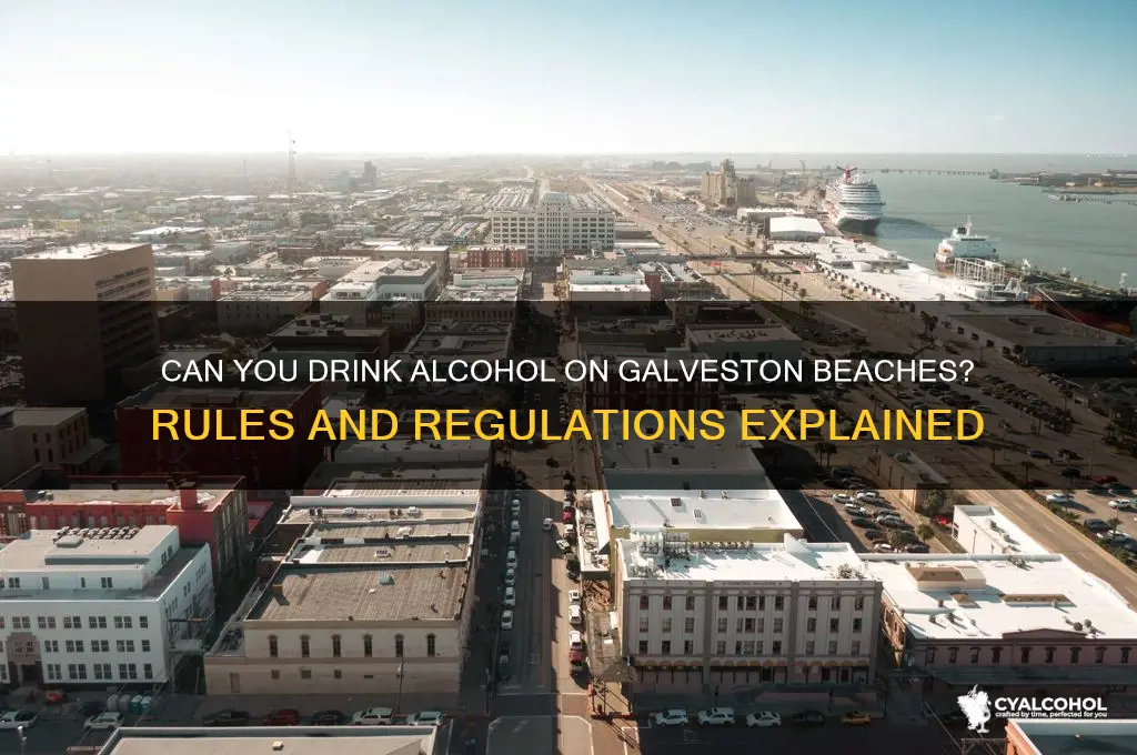 is alcohol allowed on galveston beaches