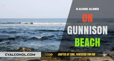 Gunnison Beach Alcohol Policy: What You Need to Know