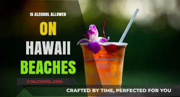 Can You Drink Alcohol on Hawaii Beaches? Legal Insights and Tips