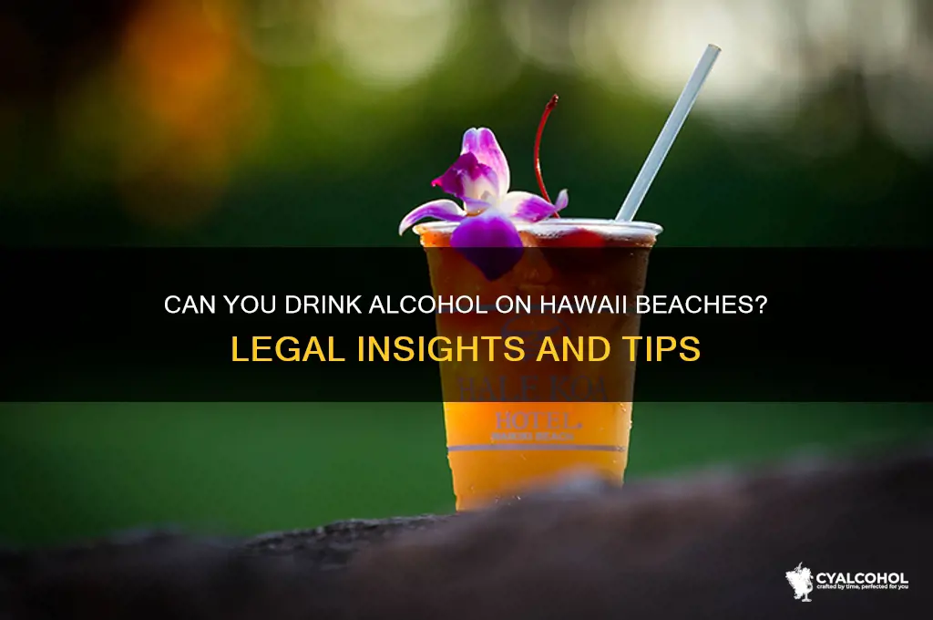 is alcohol allowed on hawaii beaches