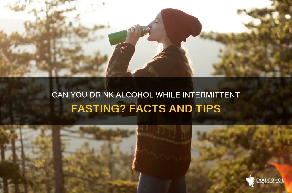 is alcohol allowed on intermittent fasting