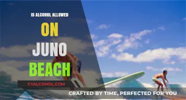 Alcohol Regulations at Juno Beach: What You Need to Know