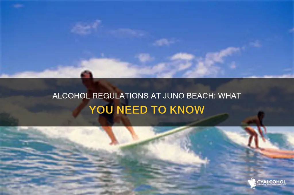 is alcohol allowed on juno beach