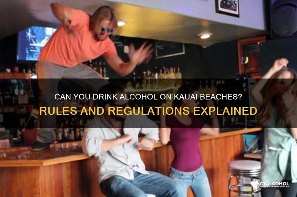is alcohol allowed on kauai beaches