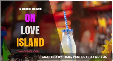 Love Island Rules: Alcohol Allowed or Banned in the Villa?