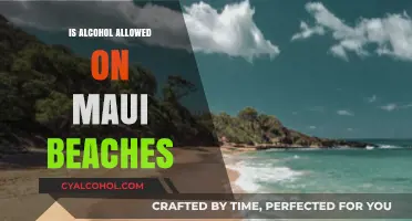 Can You Drink Alcohol on Maui Beaches? Rules and Regulations Explained