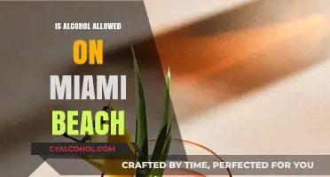 Can You Drink Alcohol on Miami Beach? Rules and Regulations Explained
