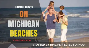 Can You Drink Alcohol on Michigan Beaches? Legal Guidelines Explained