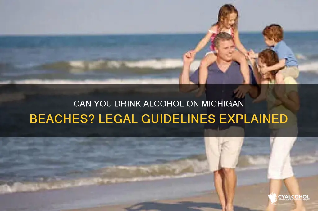 is alcohol allowed on michigan beaches