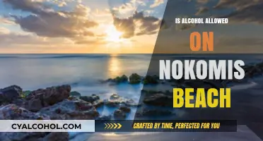 Can You Bring Alcohol to Nokomis Beach? Rules and Regulations Explained