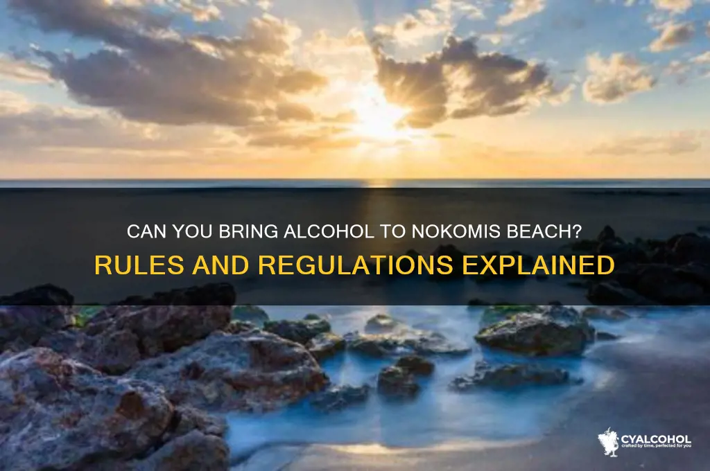 is alcohol allowed on nokomis beach