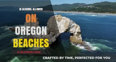Oregon Beaches and Alcohol: What Are the Rules for Visitors?