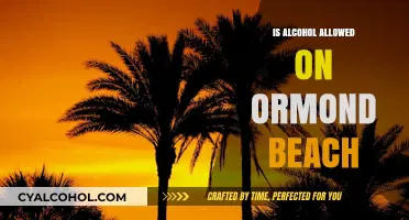 Can You Drink Alcohol on Ormond Beach? Rules and Regulations Explained