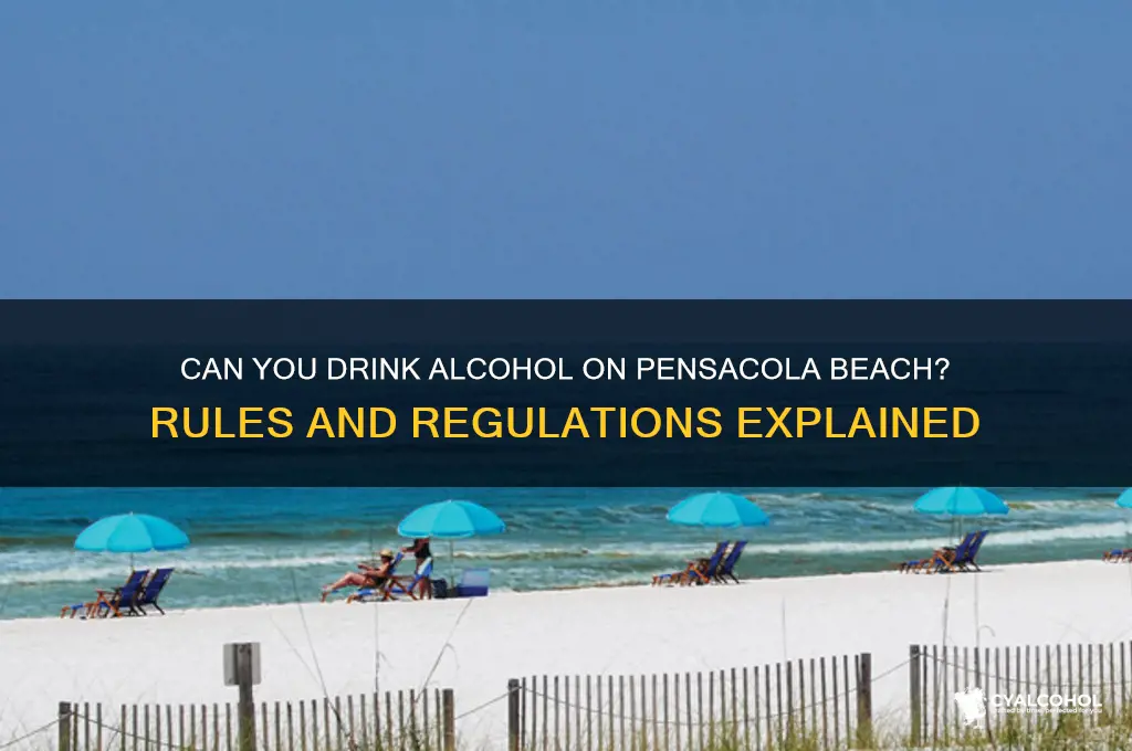 is alcohol allowed on pensacola beach