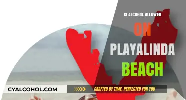 Can You Bring Alcohol to Playalinda Beach? Rules Explained