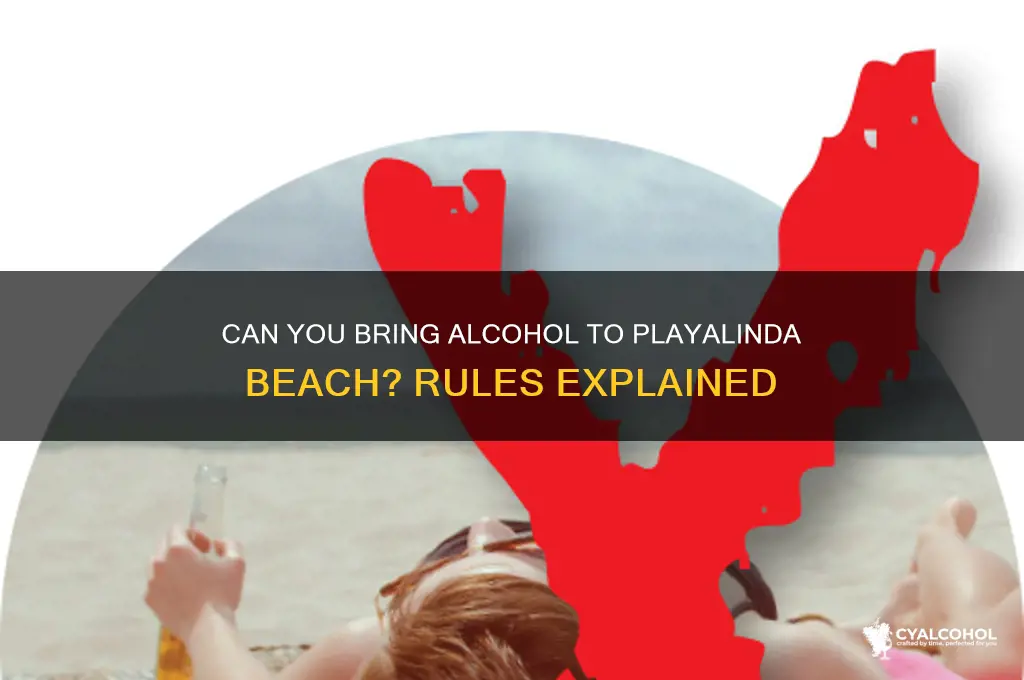 is alcohol allowed on playalinda beach