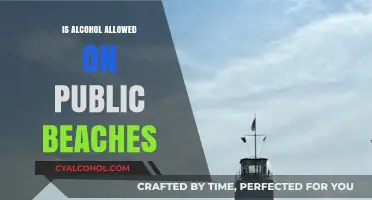 Public Beaches and Alcohol: What Are the Rules and Regulations?