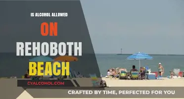 Rehoboth Beach Alcohol Policy: What You Need to Know