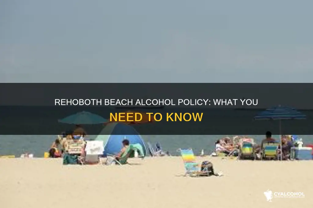 is alcohol allowed on rehoboth beach