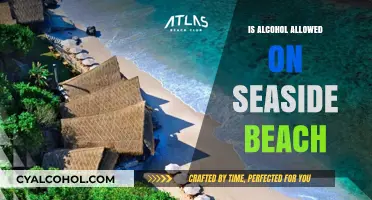 Can You Bring Alcohol to Seaside Beach? Rules and Regulations Explained