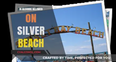Alcohol Policy at Silver Beach: Rules and Regulations Explained