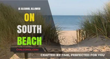 Can You Drink Alcohol on South Beach? Rules and Guidelines Explained