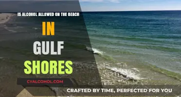 Alcohol on Gulf Shores Beaches: What's Allowed?