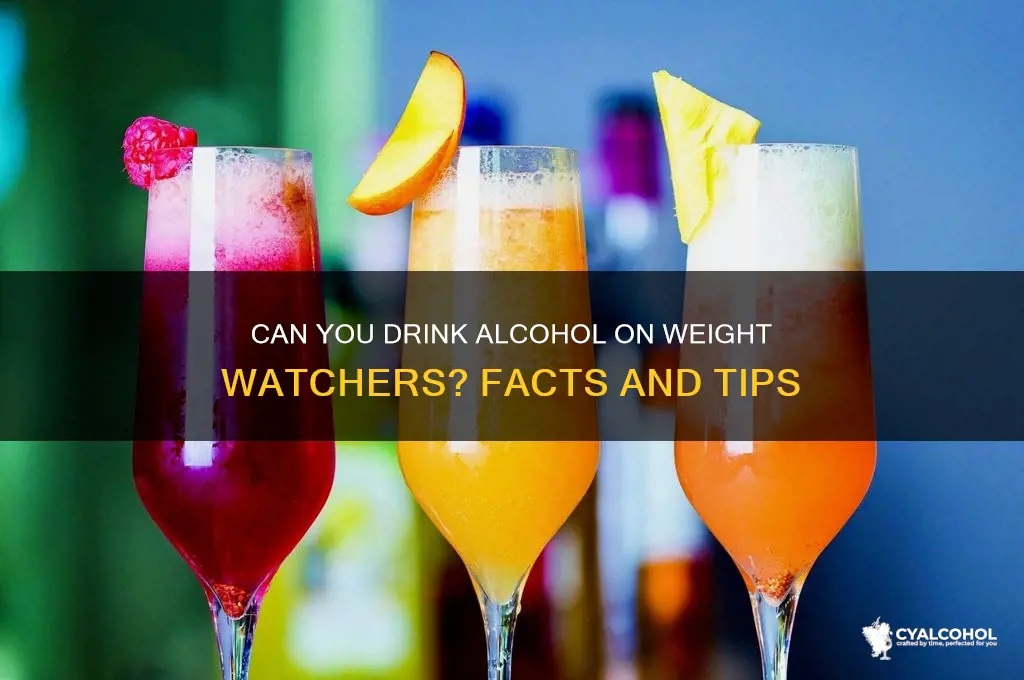 is alcohol allowed on weight watchers