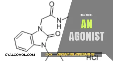 Is Alcohol an Agonist? Exploring Its Role in Neurotransmitter Receptors