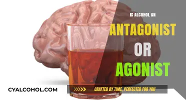 Alcohol's Dual Role: Antagonist or Agonist in the Brain?