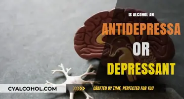 Alcohol's Dual Nature: Antidepressant or Depressant? Unraveling the Truth