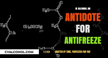 Alcohol as Antifreeze Antidote: Myth or Dangerous Misconception?