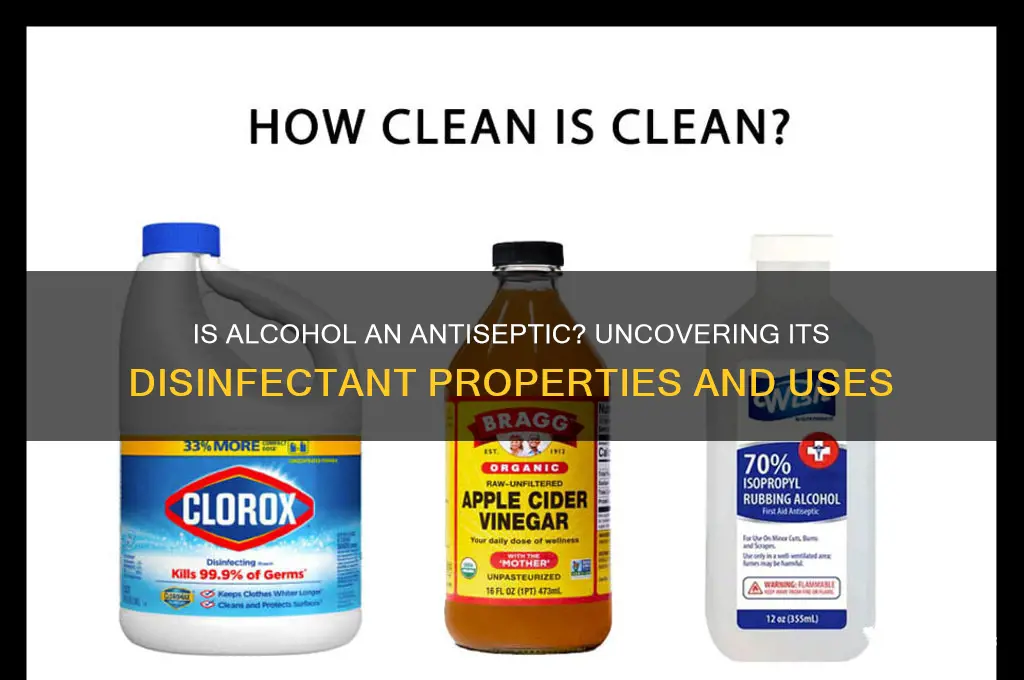 is alcohol an antiseptic