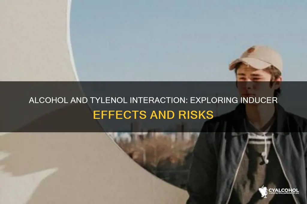 is alcohol an inducer of tylenol