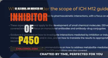 How Alcohol Interacts with P450: Inducer or Inhibitor?
