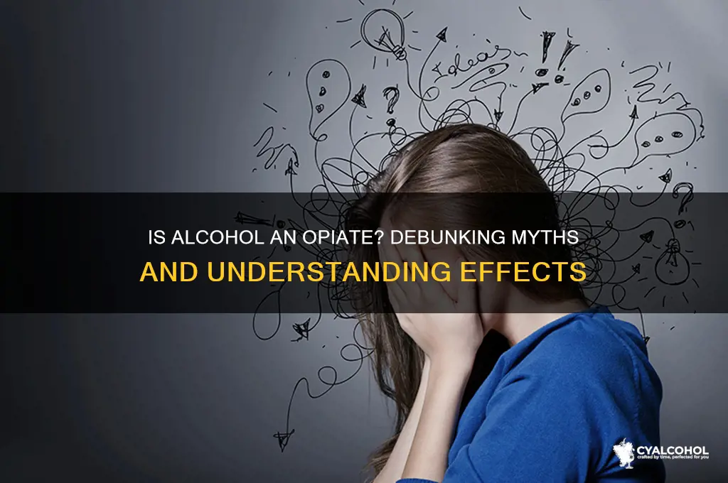 is alcohol an opiate