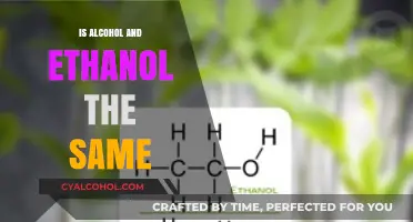 Alcohol vs. Ethanol: Understanding the Key Differences and Similarities