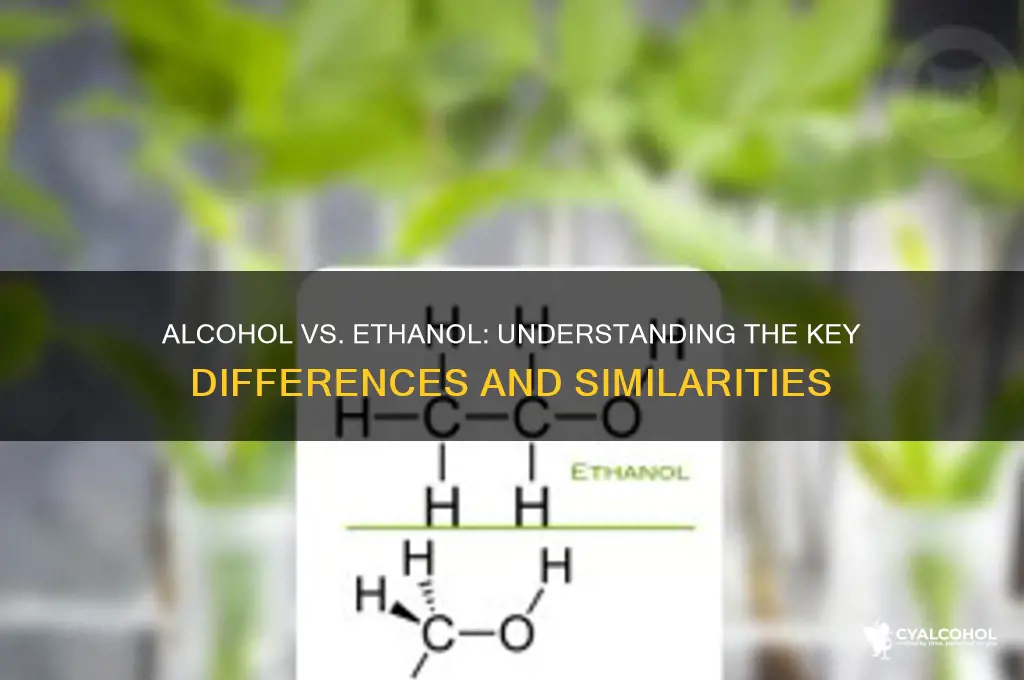 is alcohol and ethanol the same