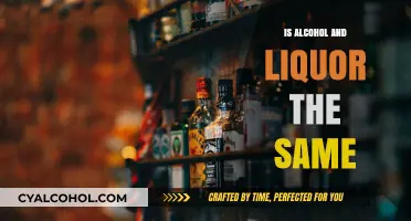 Alcohol vs. Liquor: Understanding the Key Differences and Similarities